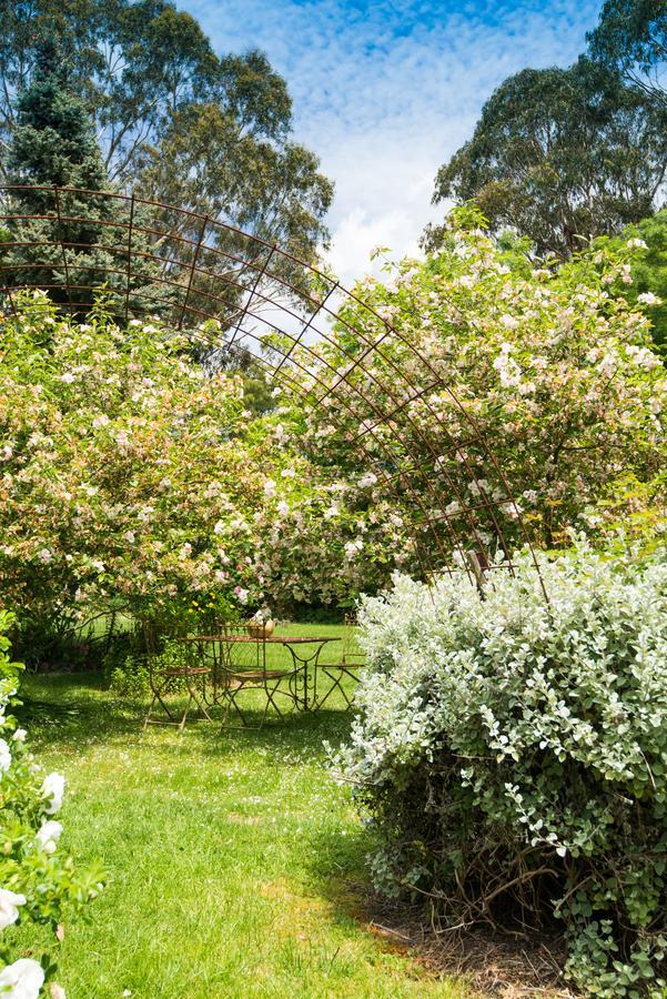 Bed and Breakfast Hollyhock Macedon Exterior foto